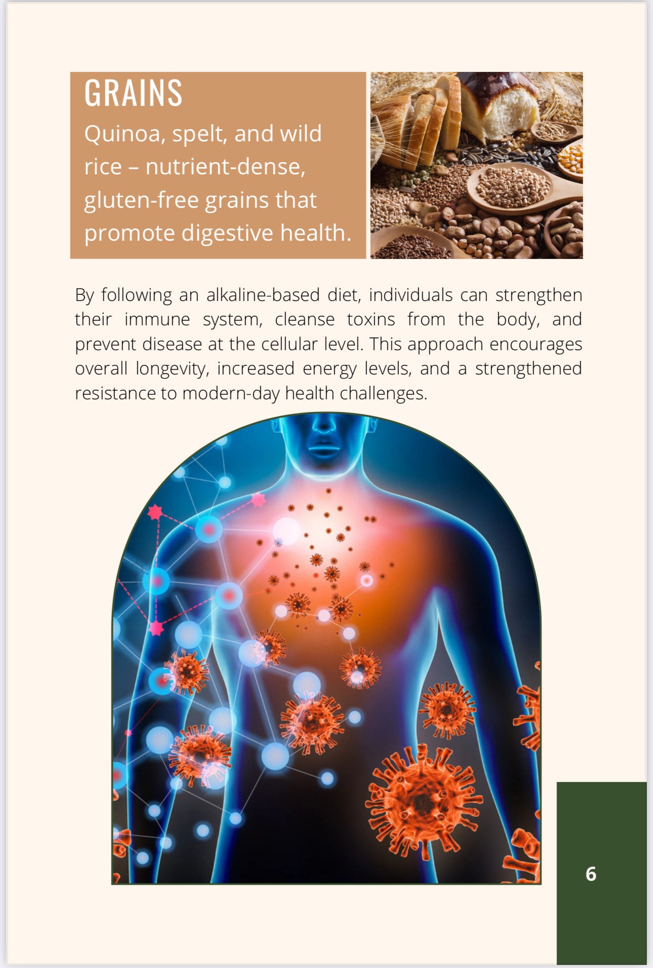 You Can Heal Yourself Naturally : Download Our eBook :- "Healing Atomic Habits 101"