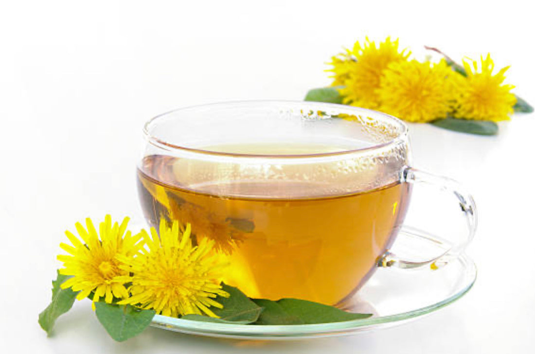 Discover the Benefits of Dandelion Tea: Nature’s Herbal Elixir