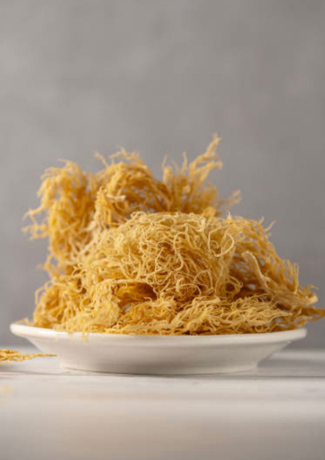 Unveiling the Wonders of Sea Moss