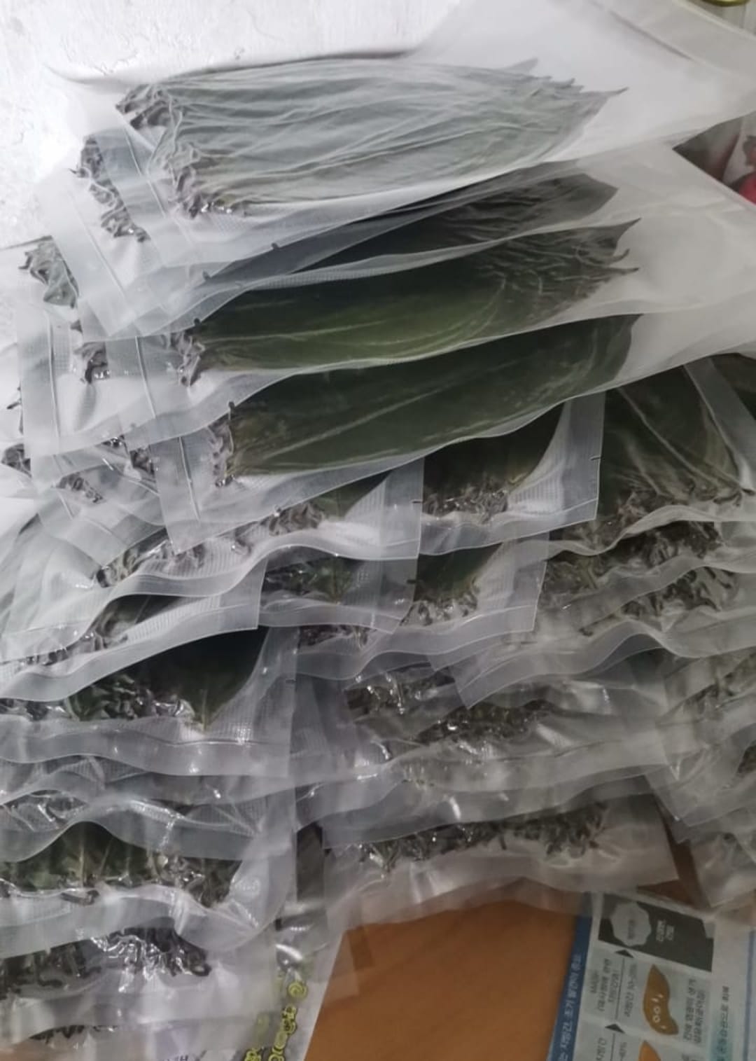 PRE-ORDER NOW: Premium Soursop African Leaves